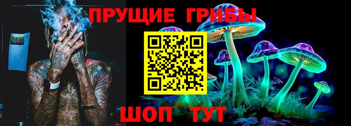 Мичуринск  Псилоцибиновые грибы Magic Shrooms  что такое наркотик  Вход с VPN  Галлюциногенные грибы Psilocybe 